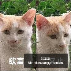 腾讯电竞新,品发布会,携手品牌共,8波足球比分网,体育官网,平台入口,足球比分,即时比分,比分直播